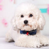 Tie Headdress Bowtie Dog Bells Teddy Dress Accessories