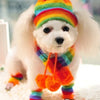 Winter Striped Hat/Scarf/Socks Accessories For Dogs