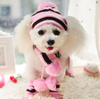 Winter Striped Hat/Scarf/Socks Accessories For Dogs