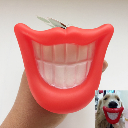 Durable Safe Funny Squeak Dog Toys