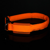 Small Scale LED Nylon Light-up Safety Dog Collar
