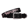 PU Leather Bling Personalized Dog Collar