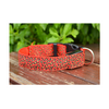 LED Nylon Glow In The Dark Electric Dog Collar