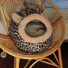 Pet Dog House Fashion Colorful Animals Shape