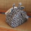 Pet Dog House Fashion Colorful Animals Shape