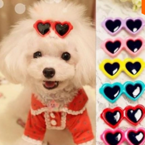 Dog Hair Clips Love Style and Boutique Sunglasses